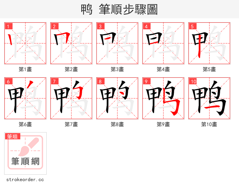 鸭 的笔顺分步演示（一笔一画写字）