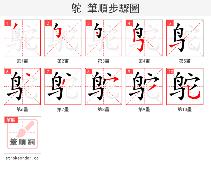 鸵 的笔顺分步演示（一笔一画写字）