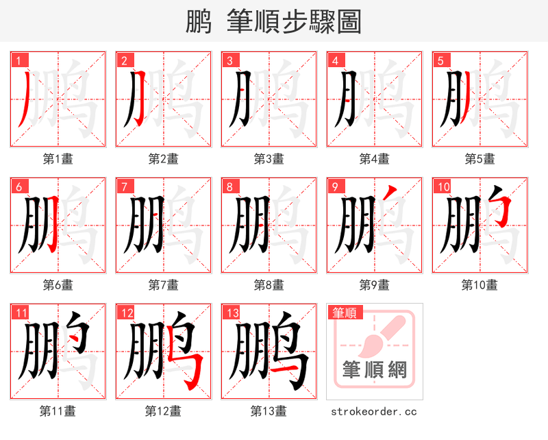 鹏 的笔顺分步演示（一笔一画写字）