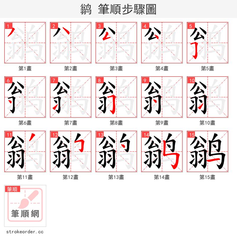 鹟 的笔顺分步演示（一笔一画写字）
